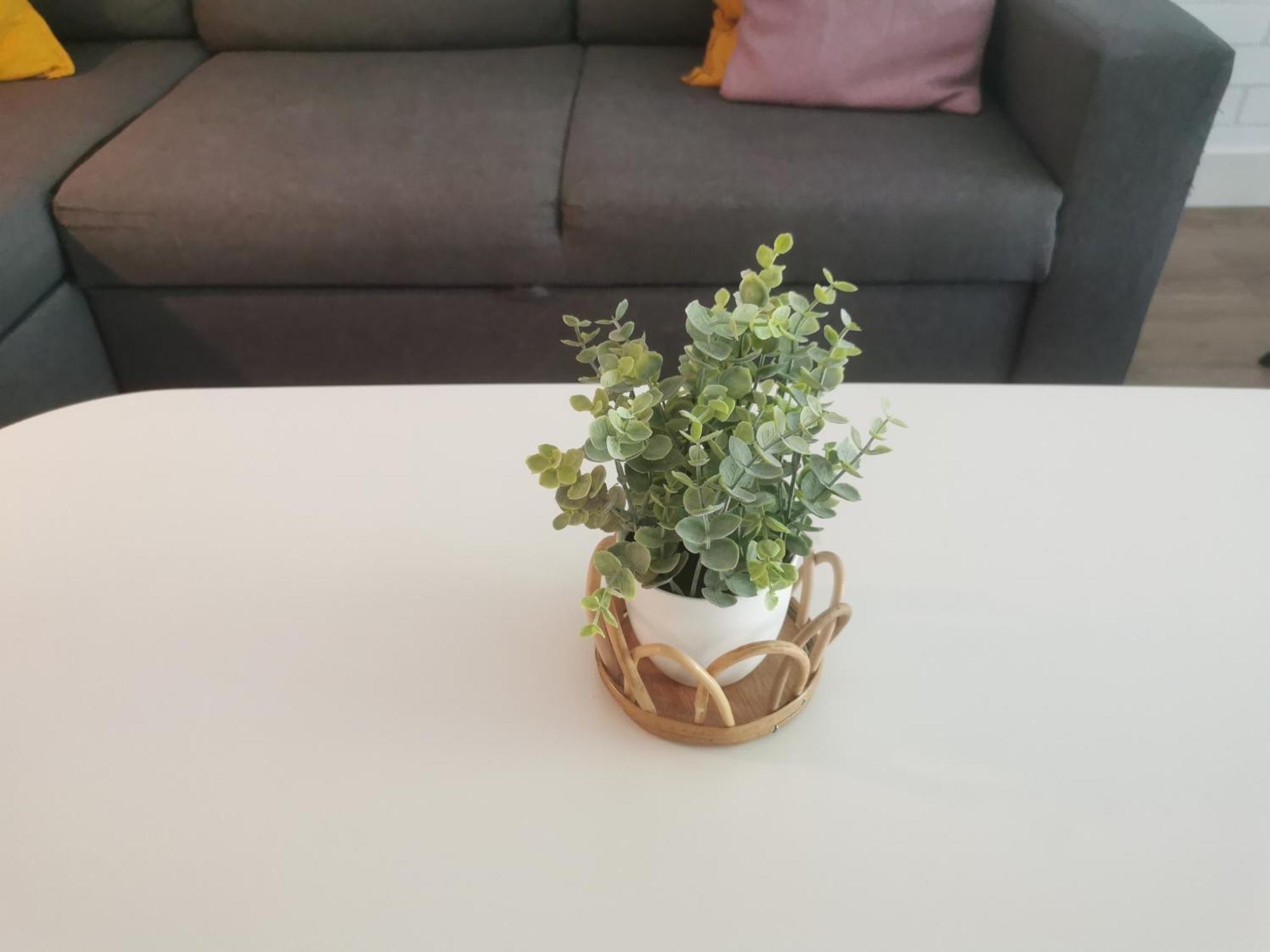 Yerseke Maarten & Hanh エクステリア 写真
